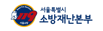Seoul Fire Services
